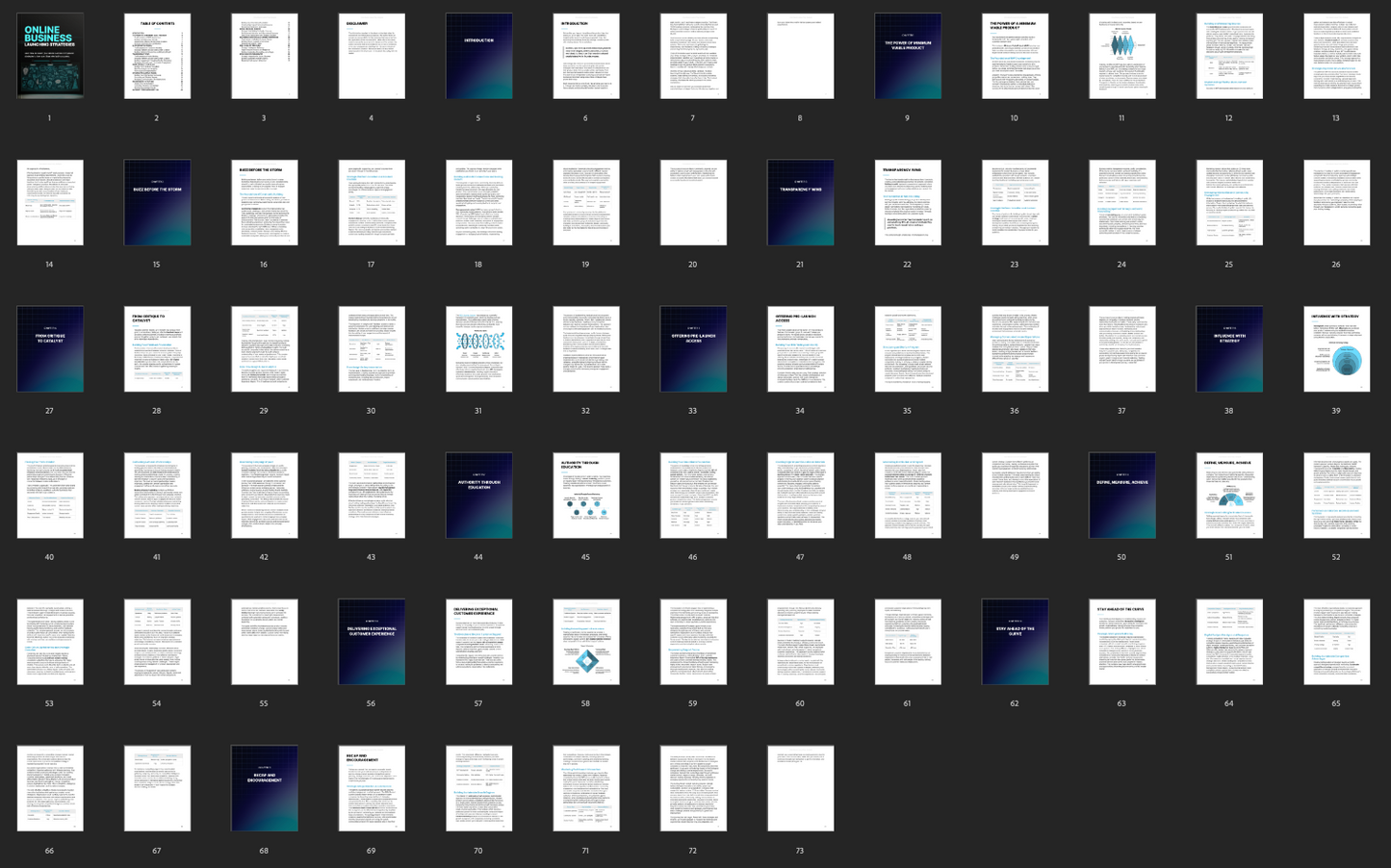 Online Business Launching Strategies - Ebook