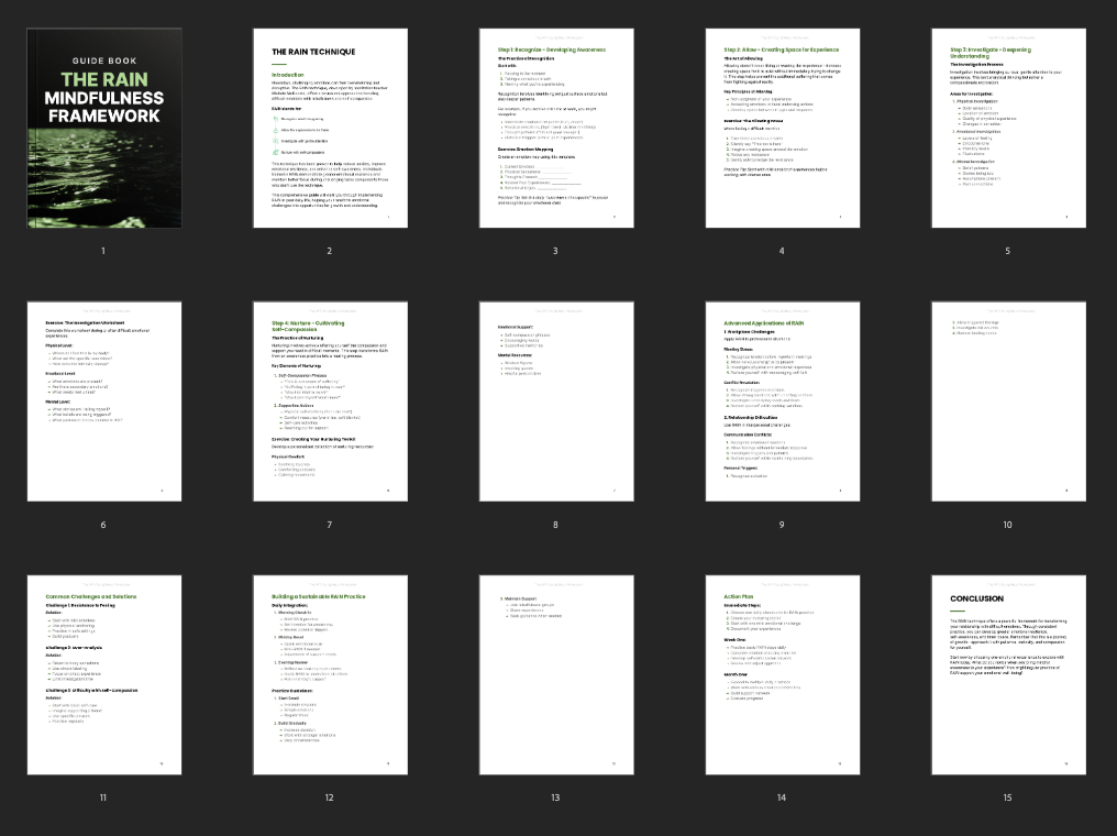 The RAIN Mindfulness Framework