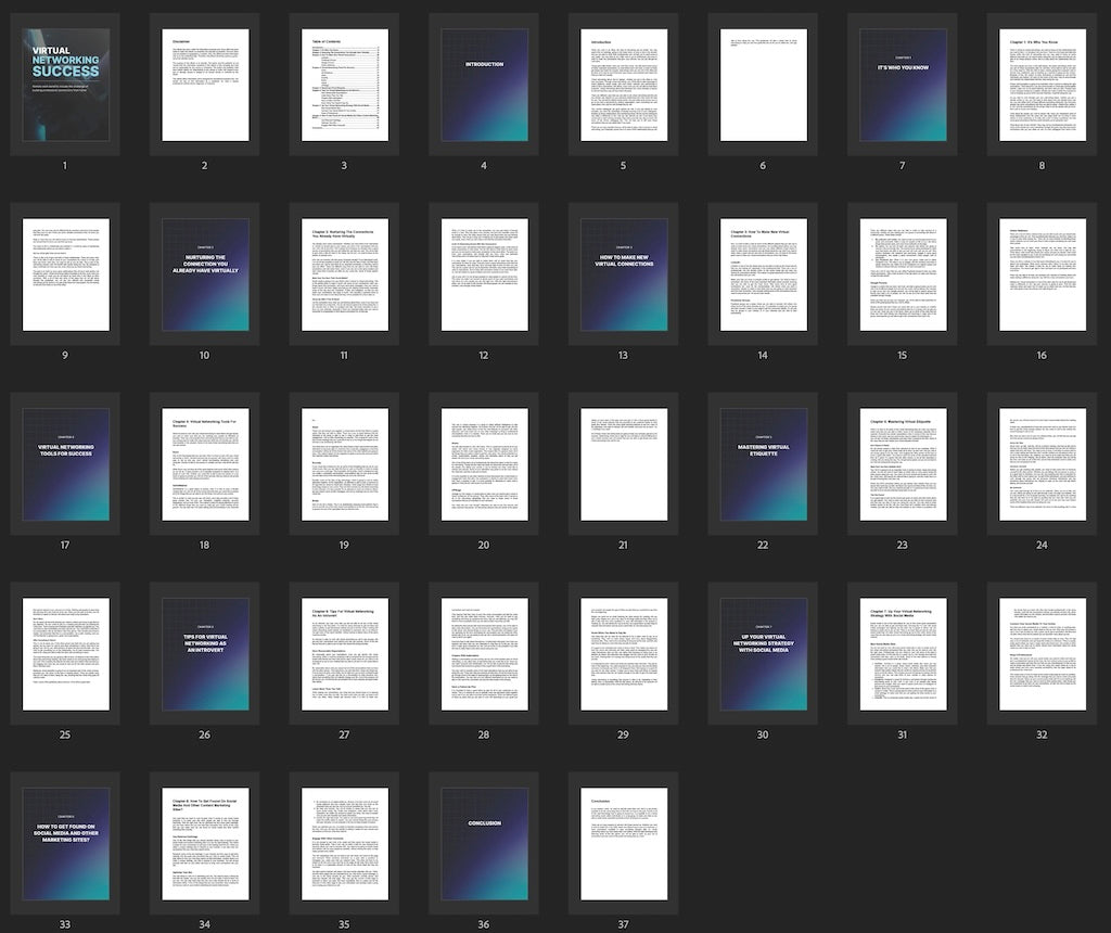 Virtual Networking Success