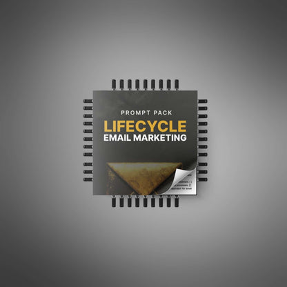 Lifecycle Email Marketing - Prompts