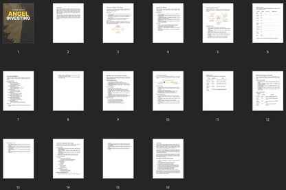 Angel Investing - Guide