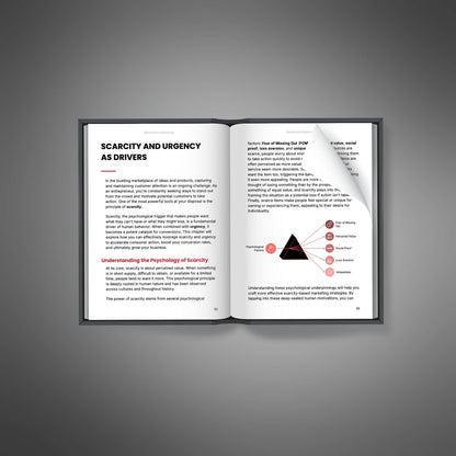 Behavioral Marketing - Ebook