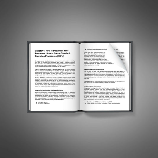 Business Systemization