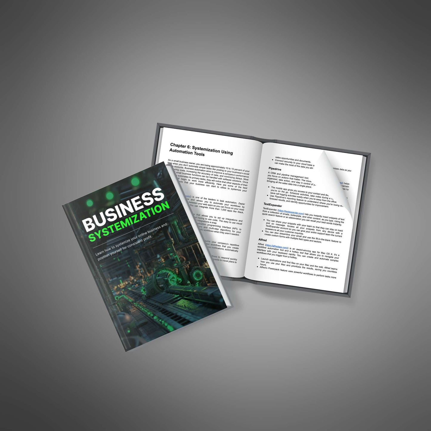 Business Systemization