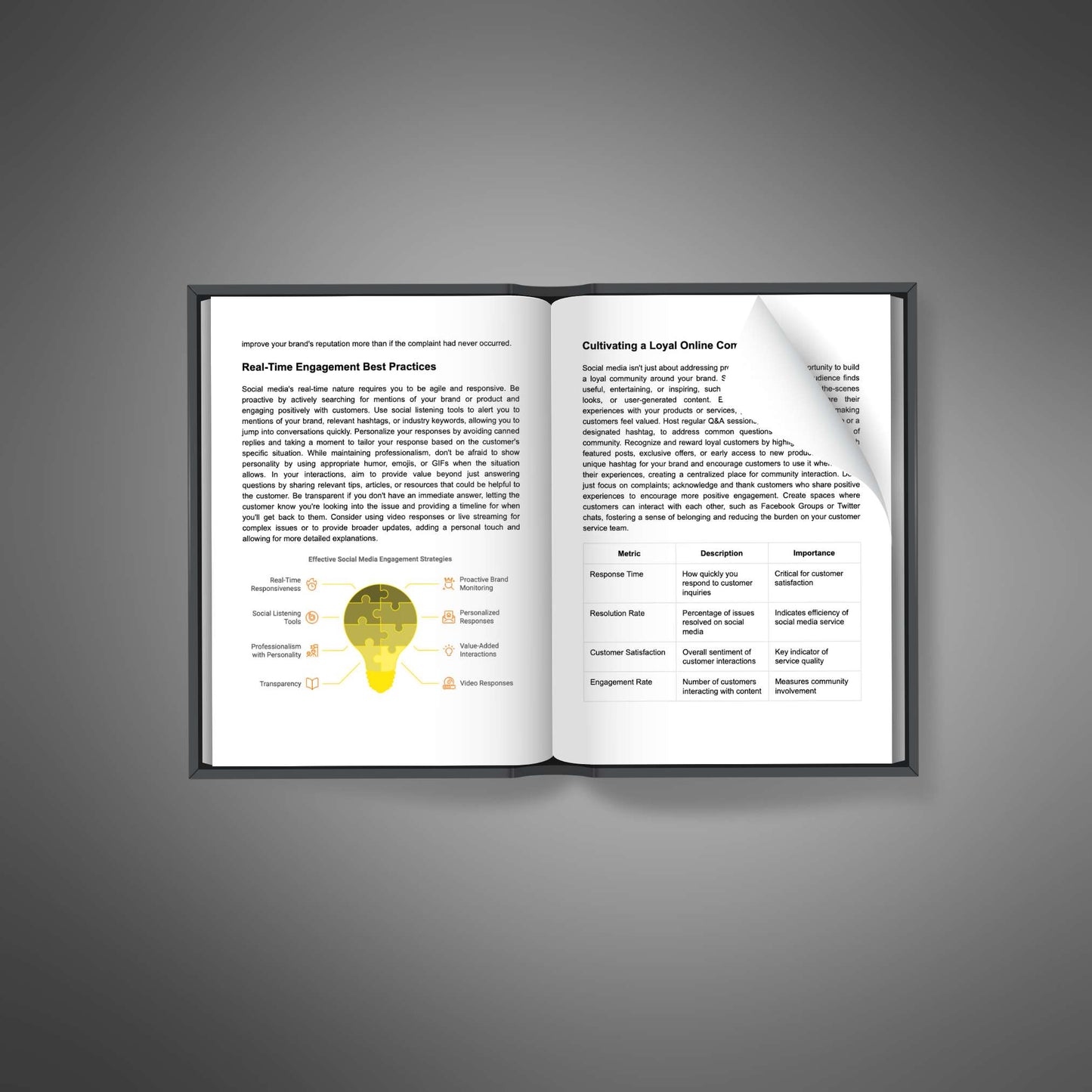 Digital Customer Service Excellence - Ebook
