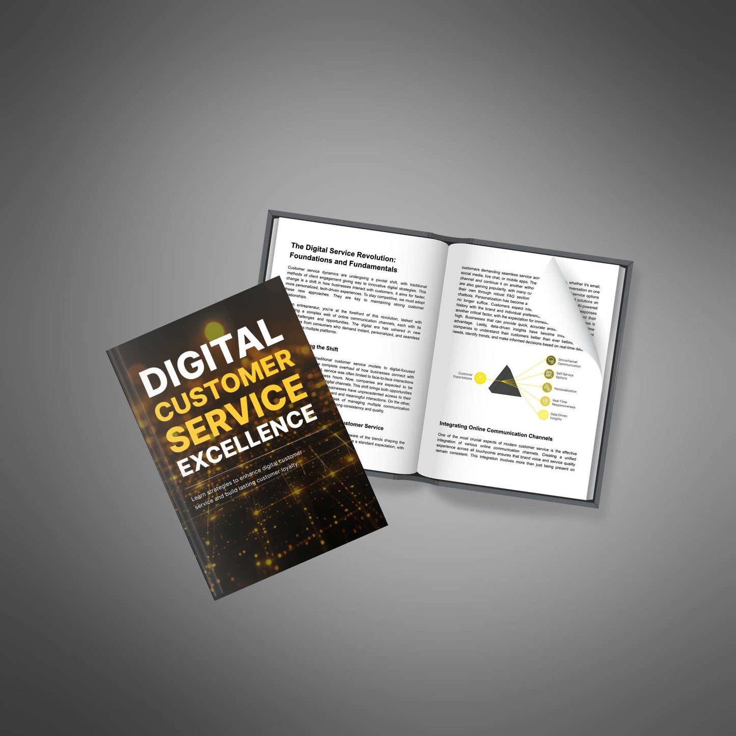 Digital Customer Service Excellence - Ebook