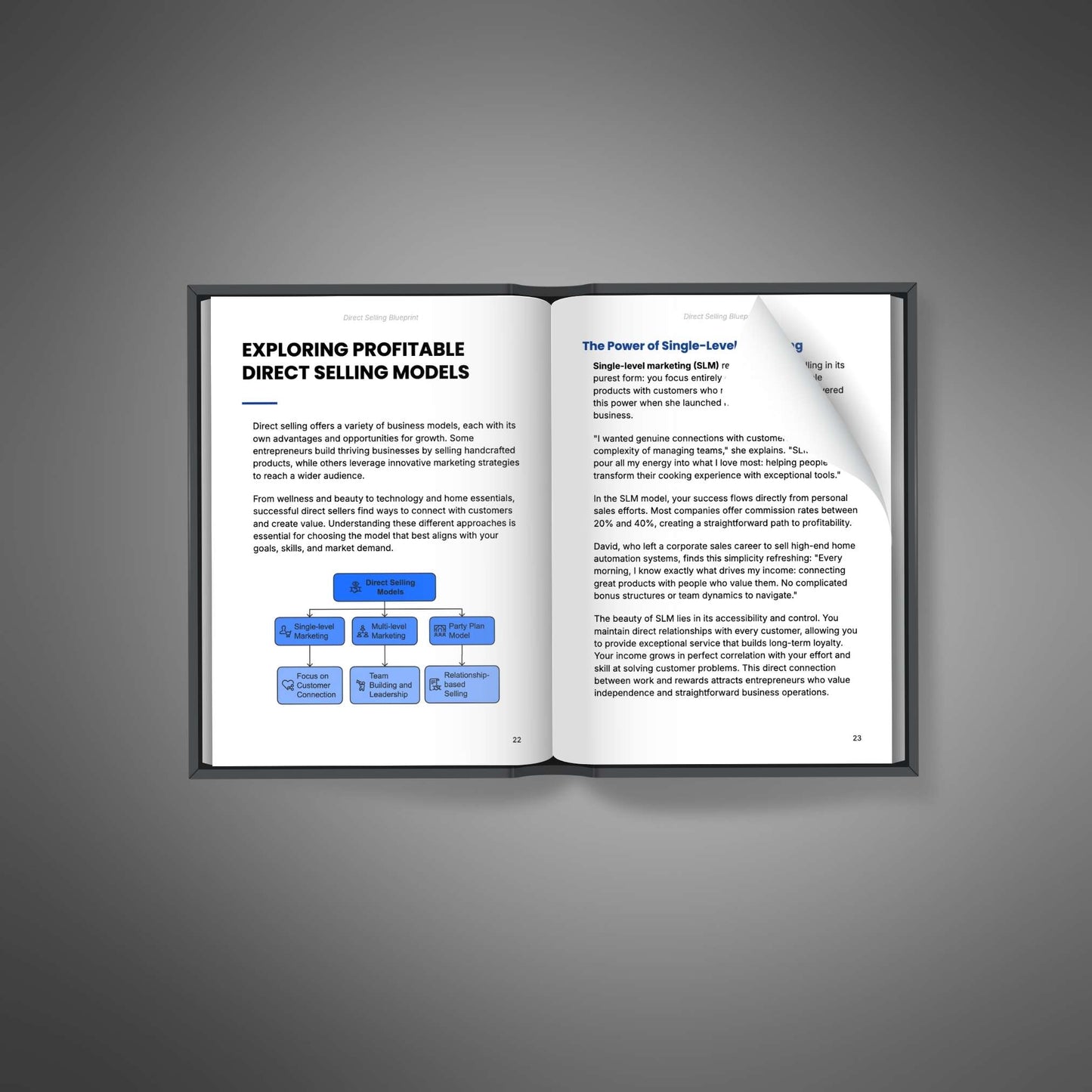 Direct Selling Blueprint