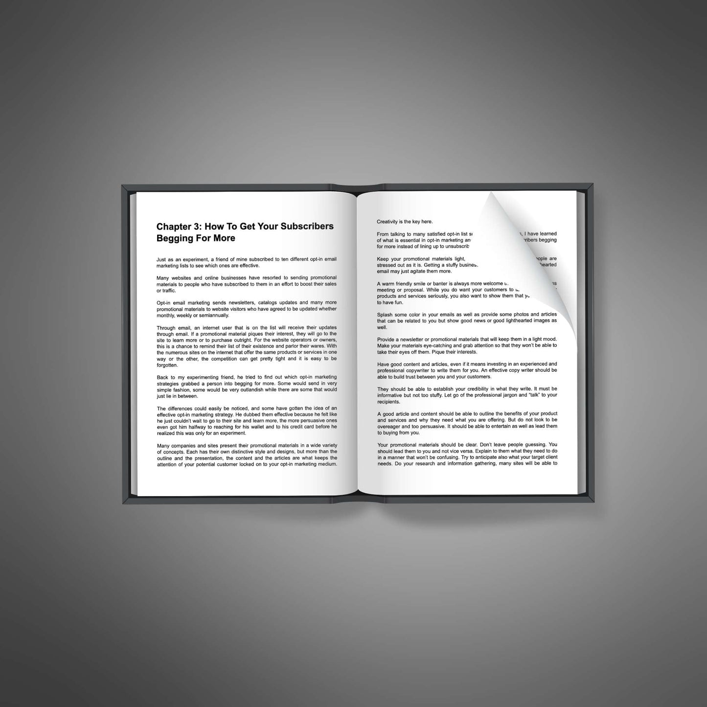 Email Marketing Influence