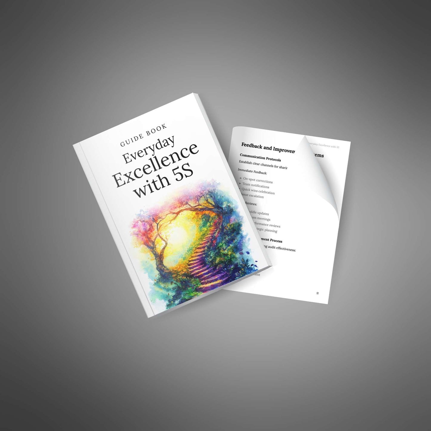 Everyday Excellence with 5S