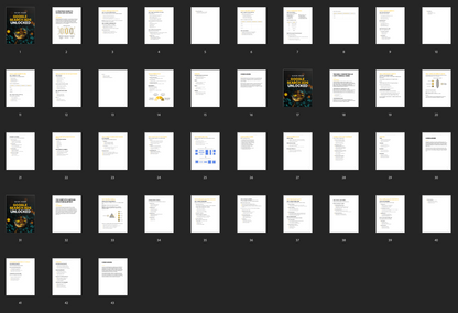Google Search Ads Unlocked - Guide