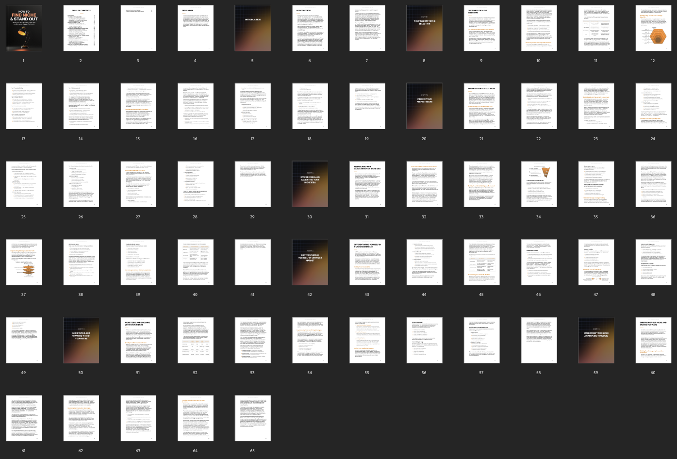 How to Find Niche and Stand Out