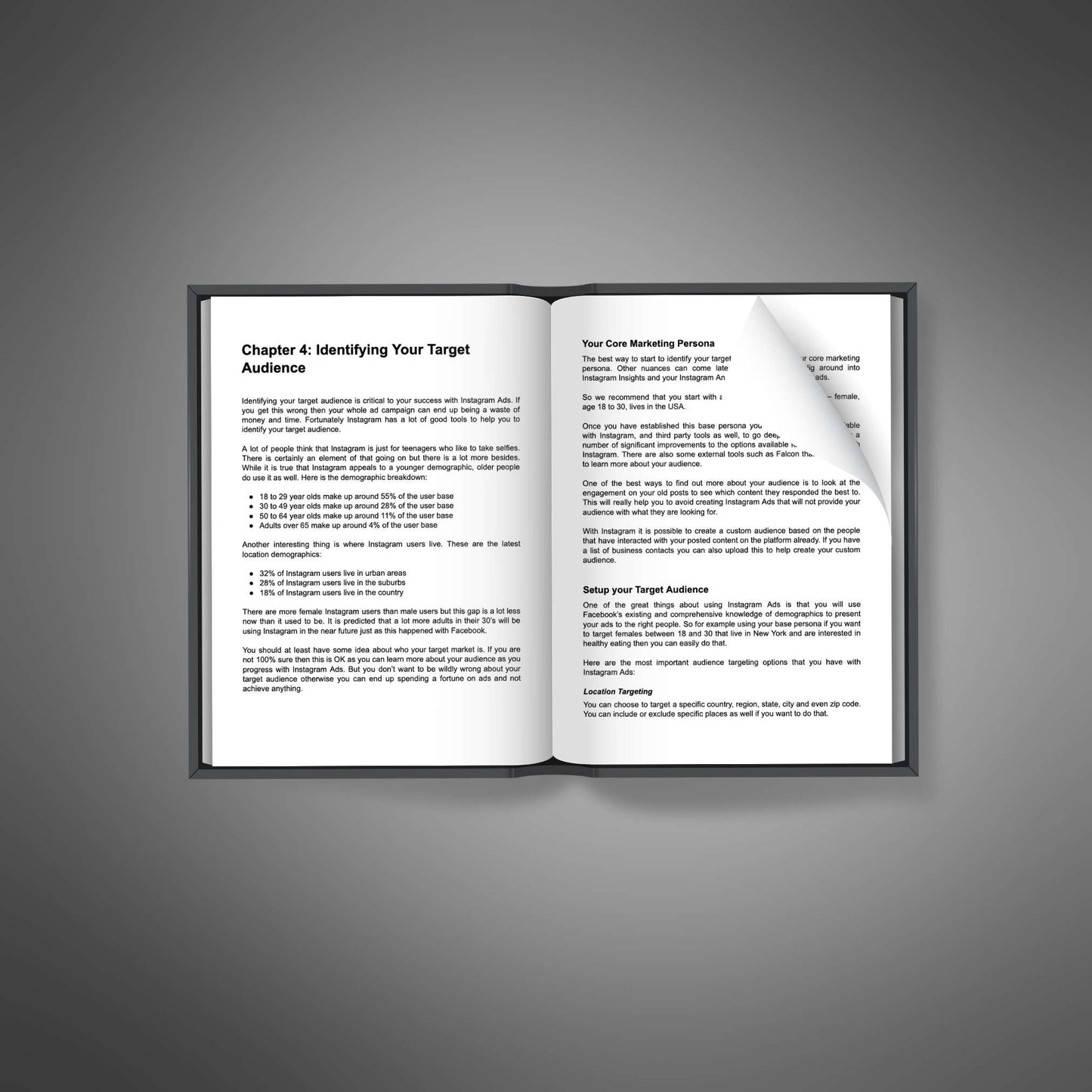 Instagram Ads Success