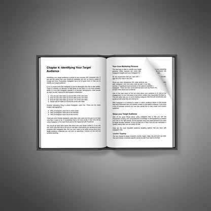 Instagram Ads Success