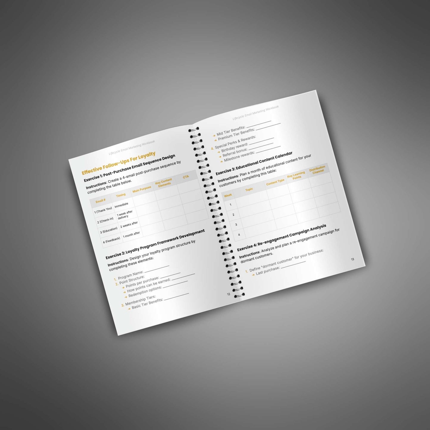 Lifecycle Email Marketing - Workbook