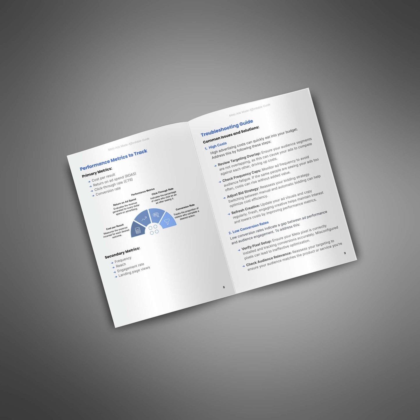 Meta Ads Made Affordable - Guide