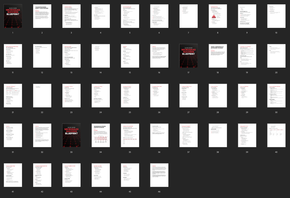 MicroSaaS Success Blueprint - Guide