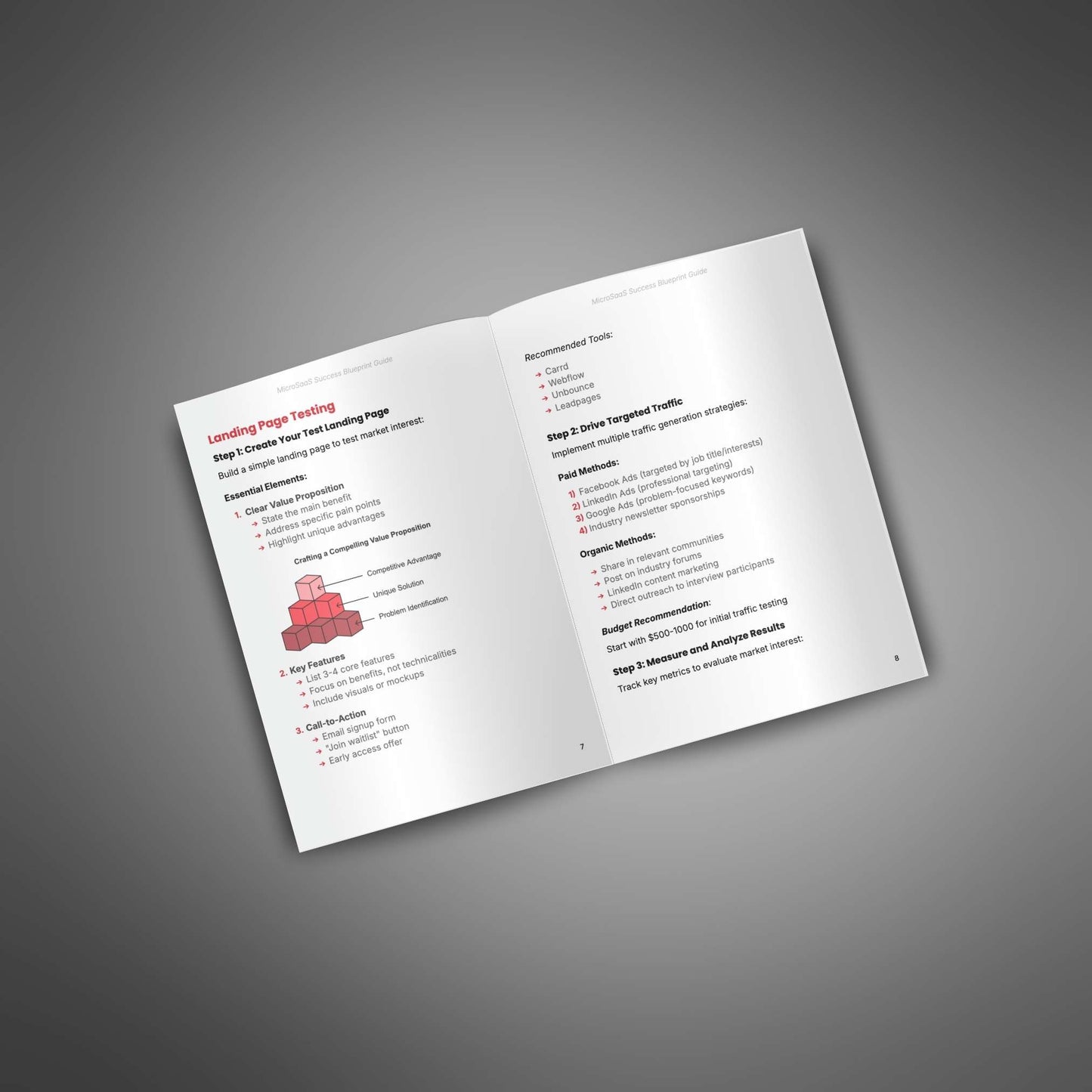 MicroSaaS Success Blueprint - Guide