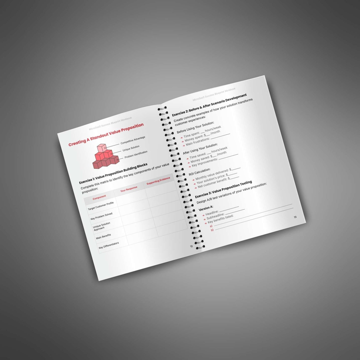 MicroSaaS Success Blueprint - Workbook