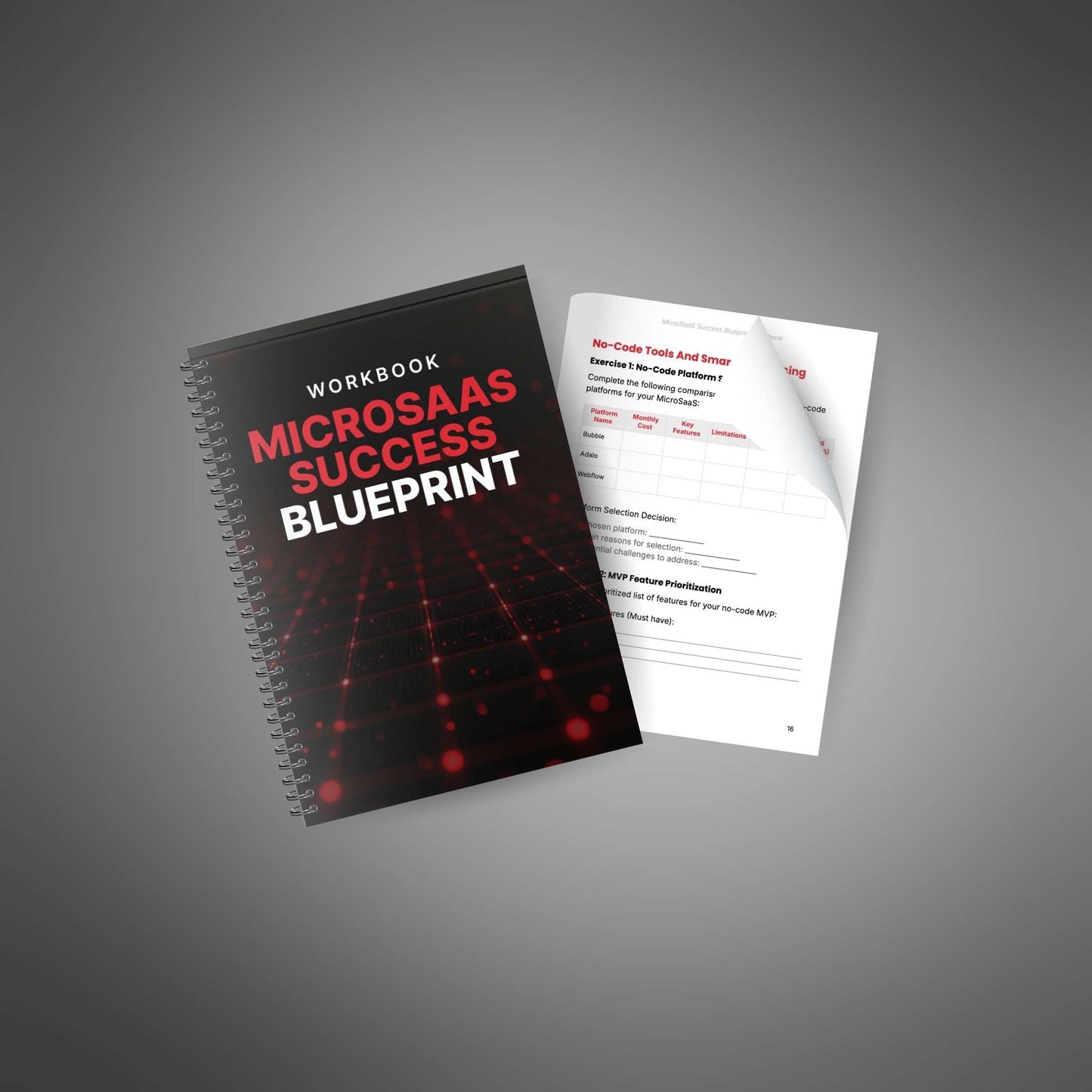 MicroSaaS Success Blueprint - Workbook