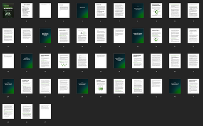 Money Psychology in Business - Ebook