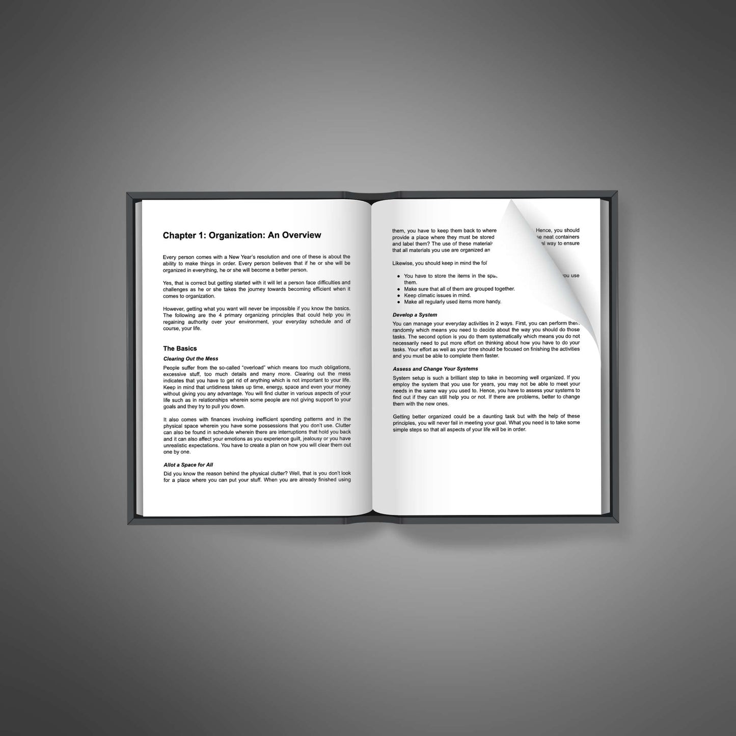 Organizing Excellence