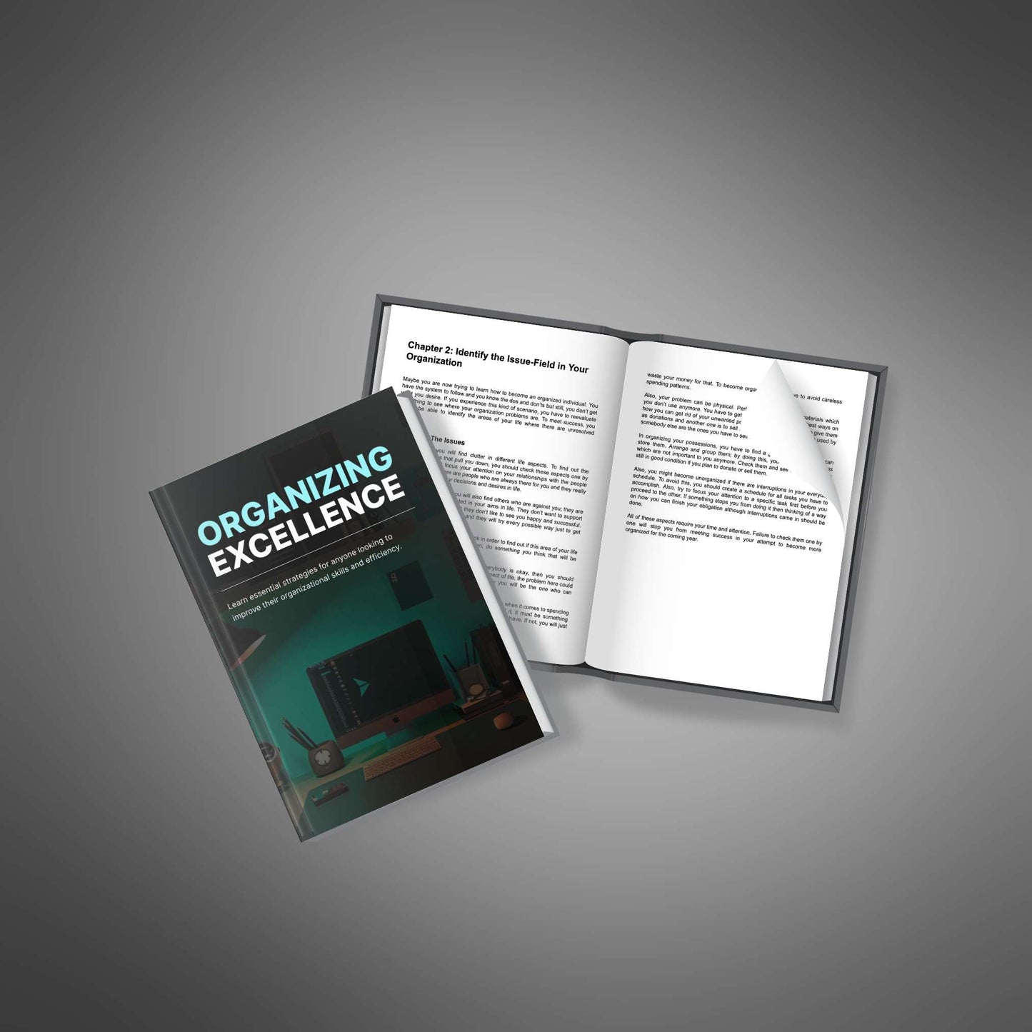 Organizing Excellence