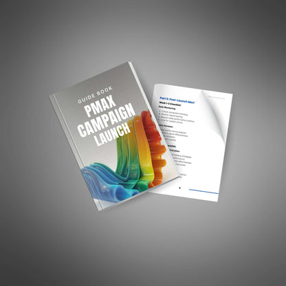 Performance Max Campaign Launch