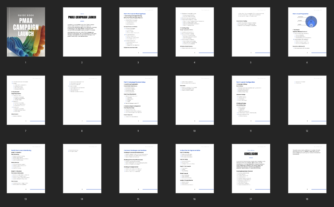 Performance Max Campaign Launch