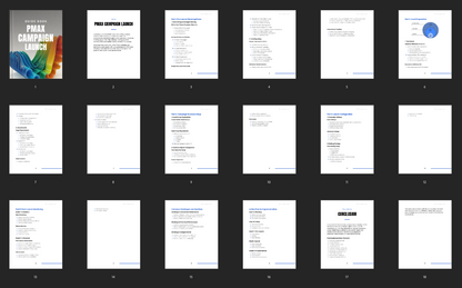 Performance Max Campaign Launch