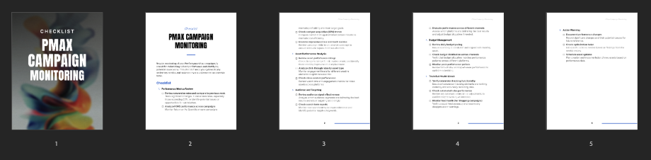 Performance Max Campaign Monitoring