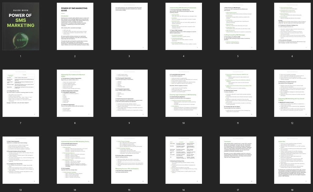 Power of SMS Marketing - Guide