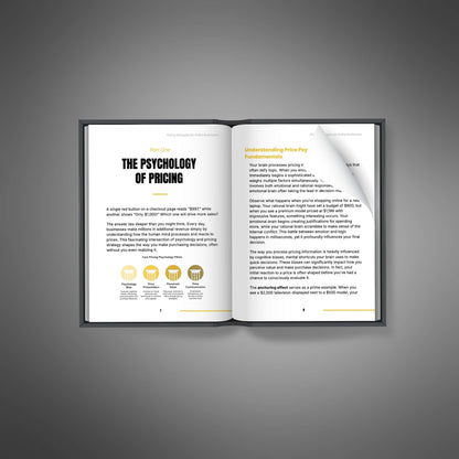 Pricing Strategies for Online Businesses