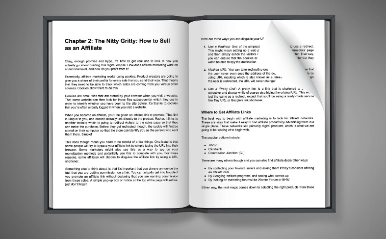 Affiliate Marketing School