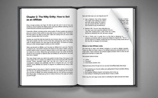 Affiliate Marketing School