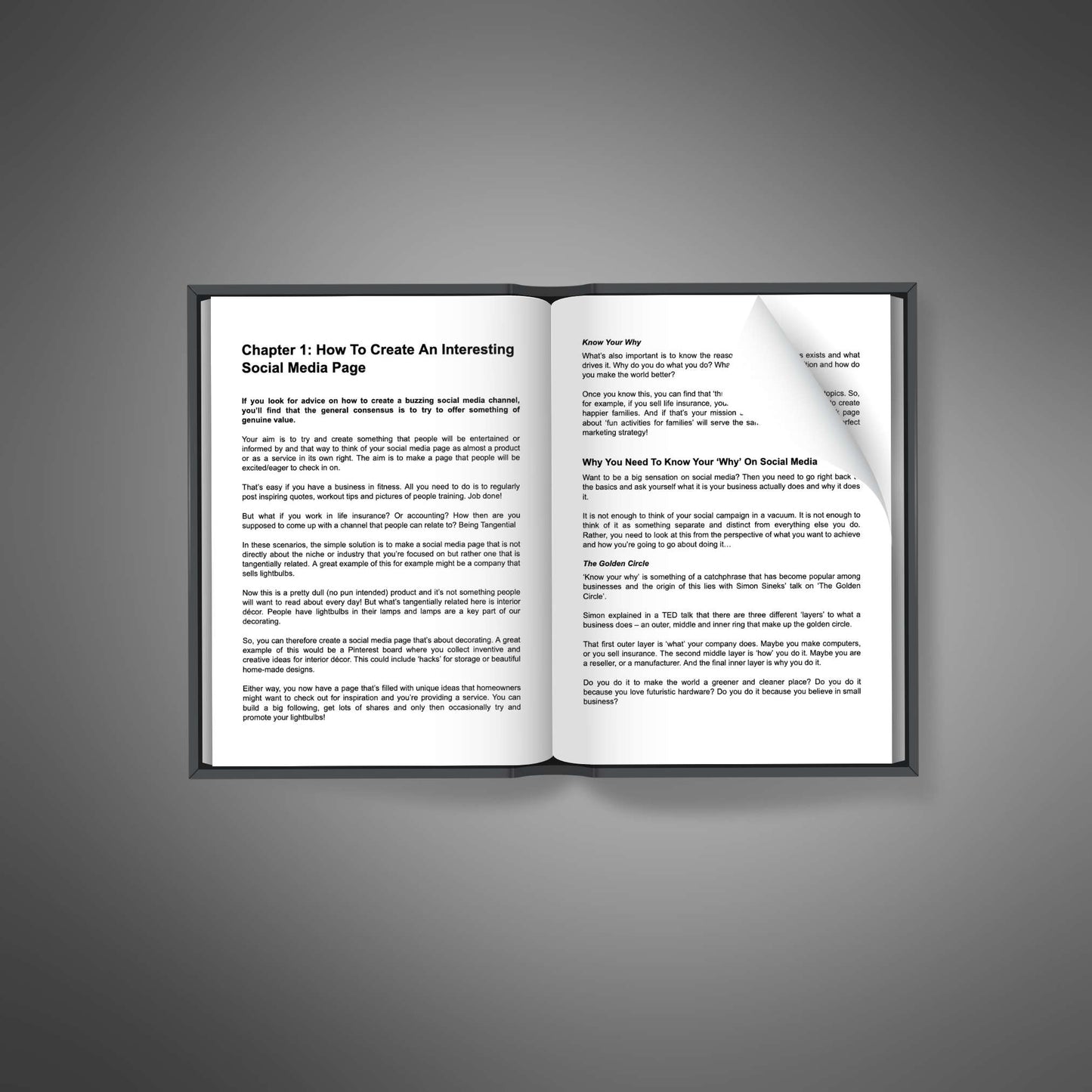 Social Media Marketing Influence