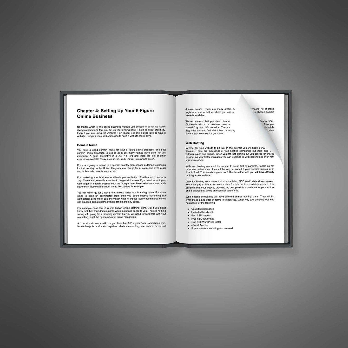 Starting 6-Figure Business