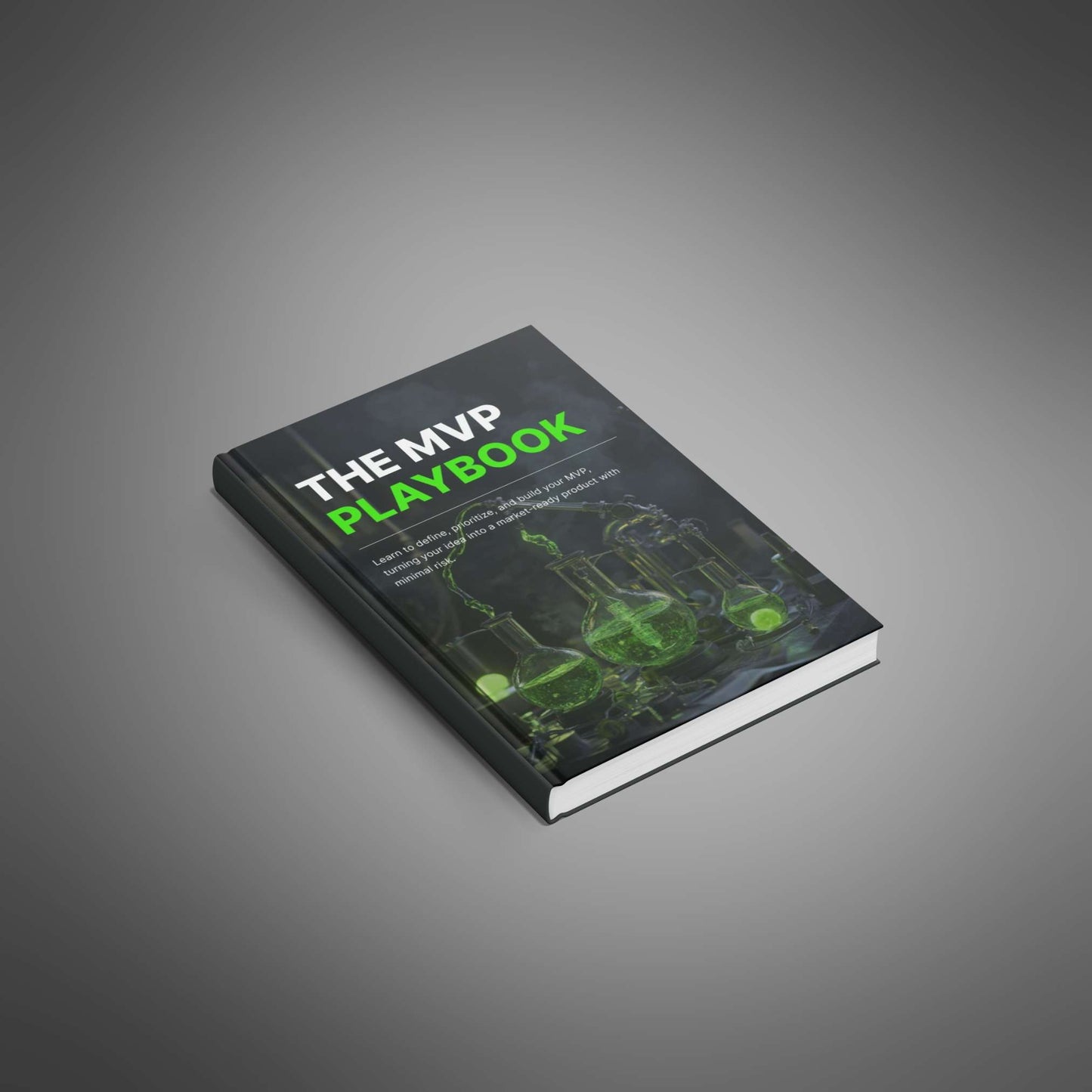 The MVP Playbook - Ebook