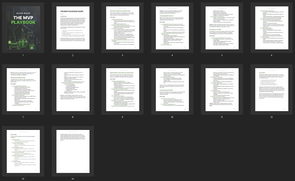 The MVP Playbook - Guide