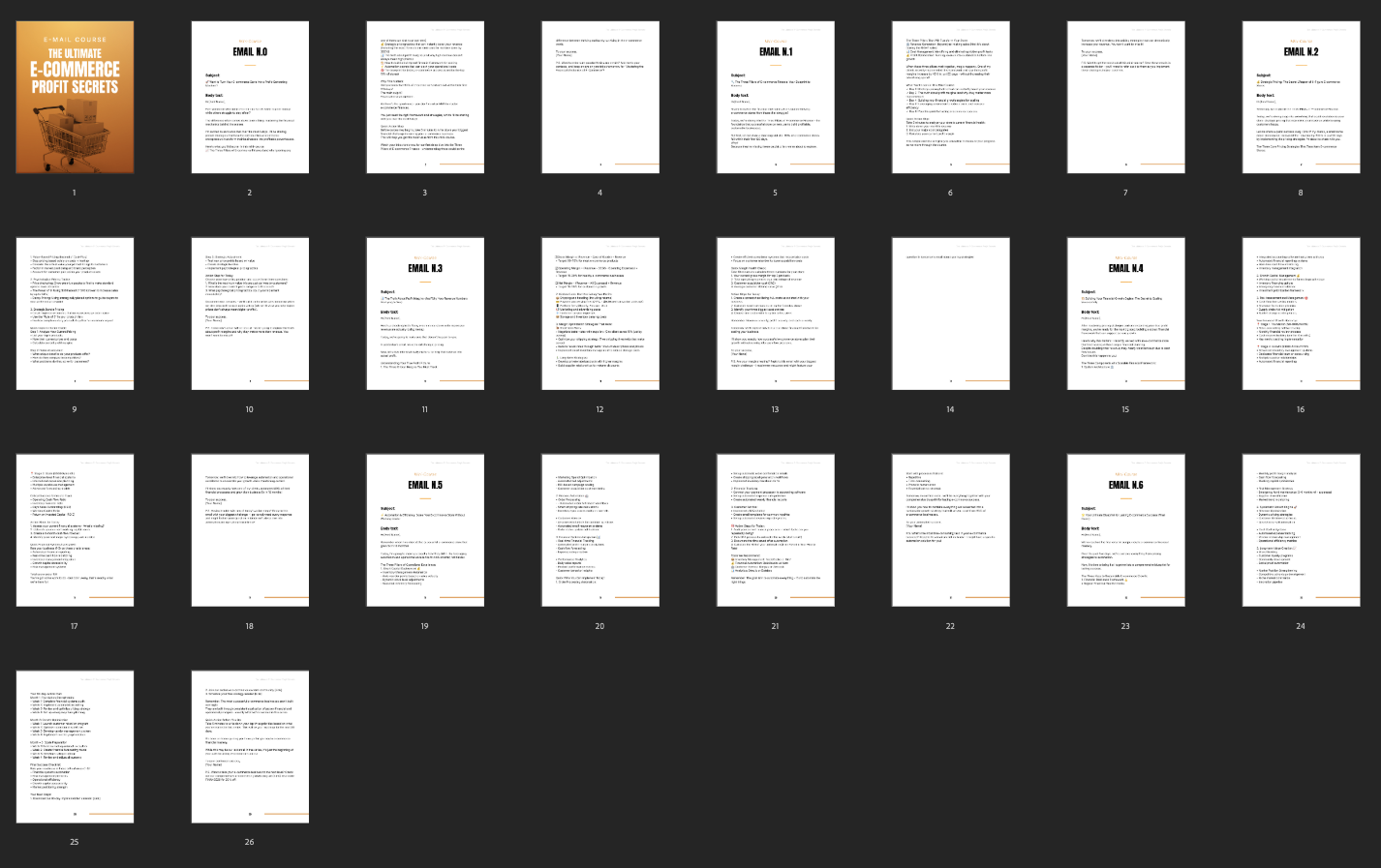 The Ultimate E-Commerce Profit Secrets